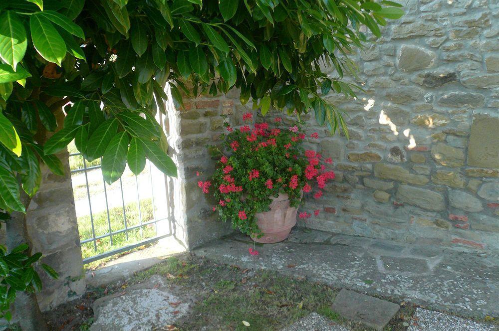 Il Gelso Apartment Cortona Exterior photo