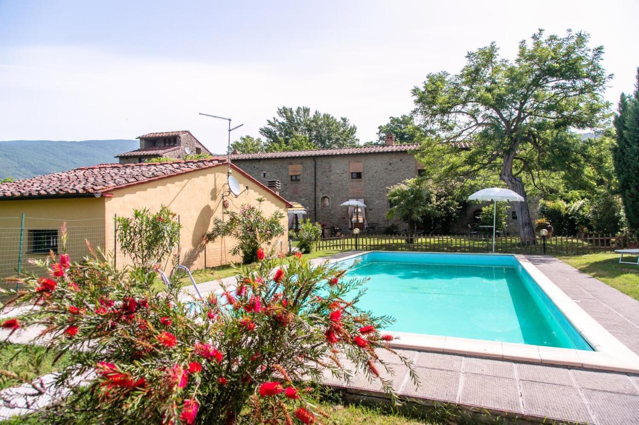 Il Gelso Apartment Cortona Exterior photo